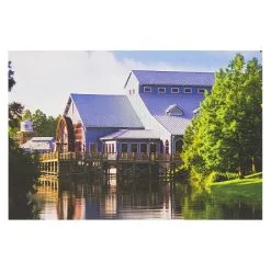 Disney Postcard - Port Orleans Resort - Riverside